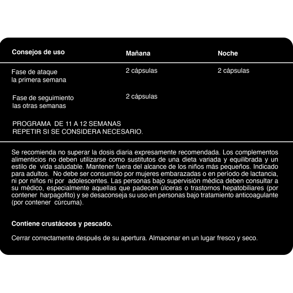 NHCO Aminoflex 168 capsulas