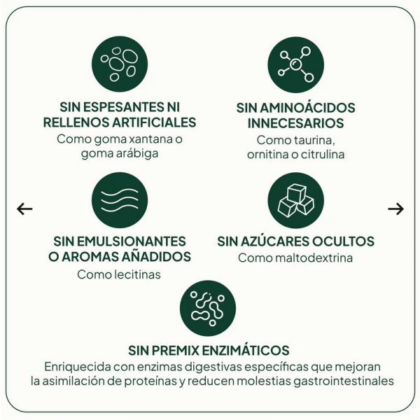 IVB PROTEINA VEGANA 2