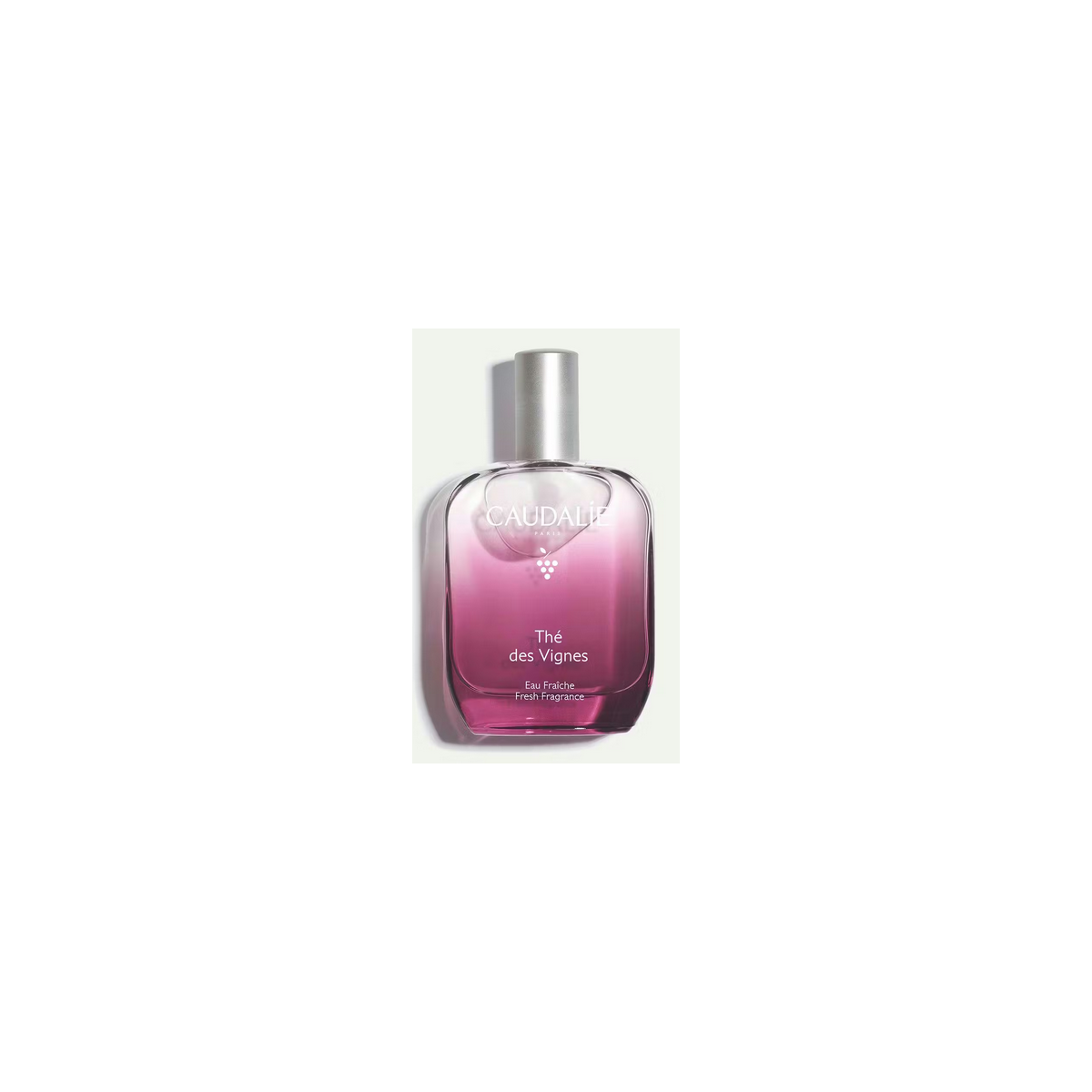 CAUDALIE THE DES VIGNES EAU FRAICHE 50 ML