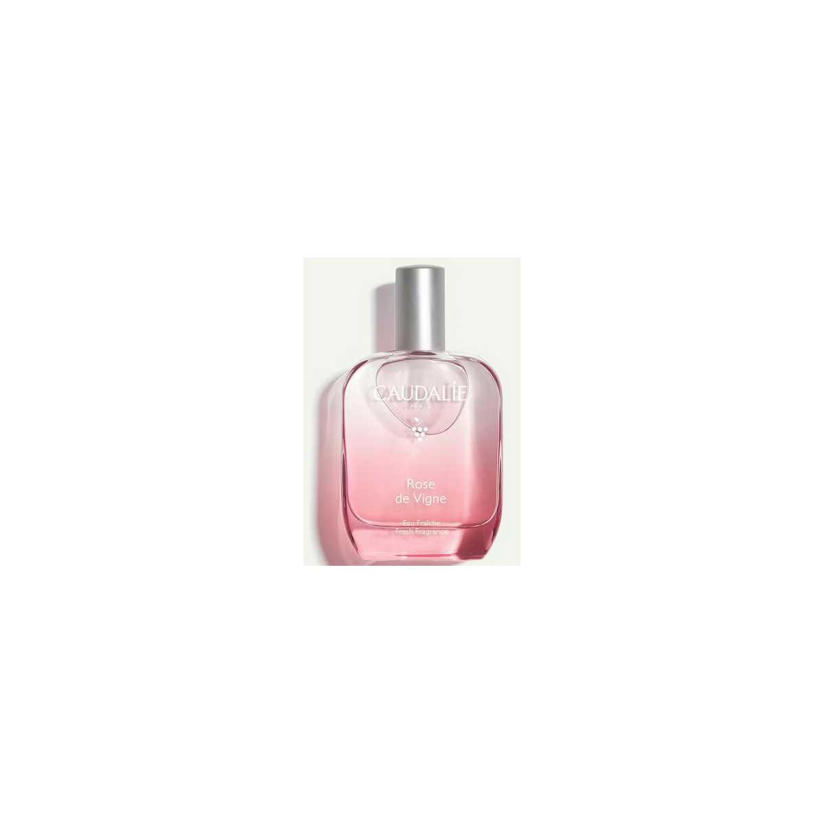 CAUDALIE ROSE DE VIGNE EAU FRAICHE 50 ML