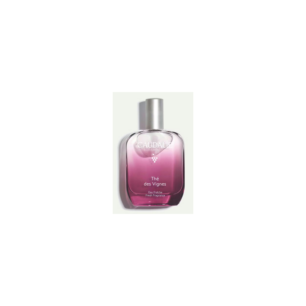 CAUDALIE THE DES VIGNES EAU FREICHE 100 ML